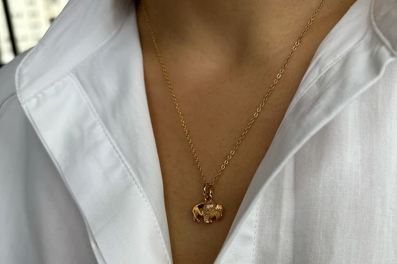 Bison Collier