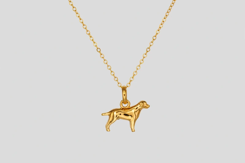 Labrador Collier