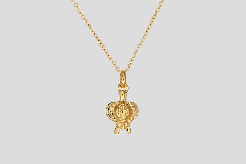 Tortue Collier
