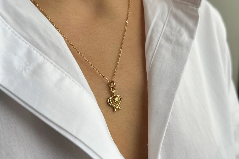 Tortue Collier